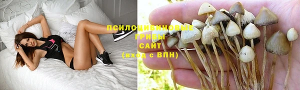 не бодяженный Аркадак