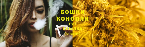 не бодяженный Аркадак