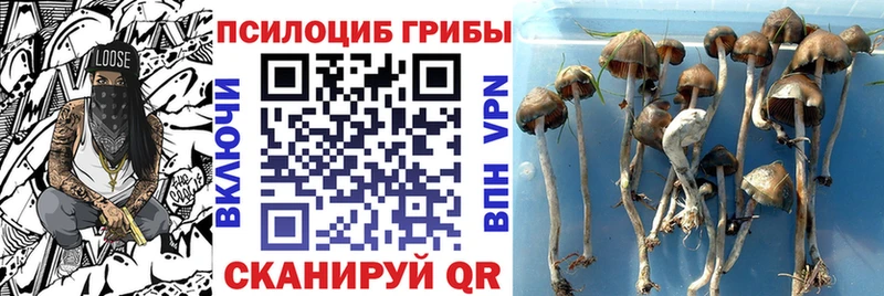 Псилоцибиновые грибы MAGIC MUSHROOMS  Полевской 